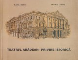 Lizica Mihut, Ovidiu Cornea - Teatrul Aradean. Privire istorica