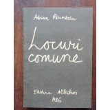 LOCURI COMUNE - ADRIAN PAUNESCU