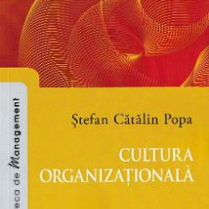 Cultura organizationala - Stefan Catalin Popa