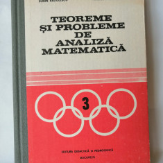 Teoreme si modele de analiza matematica, Sorin Radulescu, 1982