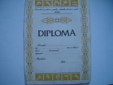 Diploma Consiliul judetean pentru educatie fizica si sport Bihor necompletata