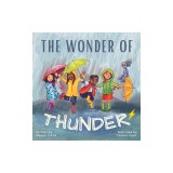 The Wonder Of Thunder: Lessons From A Thunderstorm