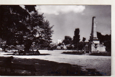 bnk cp Iasi - Obeliscul cu lei si teiul lui Eminescu in Copou - uzata foto