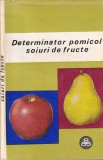Determinator pomicol soiuri de fructe, volumul 1: Mere, pere, gutui - T.
