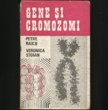 Cumpara ieftin Gene și Cromozomi - Petre Raicu, Veronica Stoian - Carte Biologie