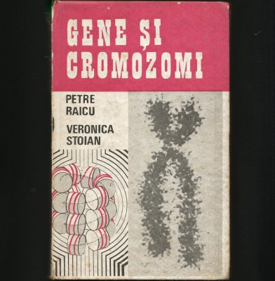 GENE ȘI CROMOZOMI - PETRE RAICU, VERONICA STOIAN foto