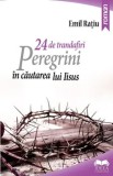 Cumpara ieftin 24 de trandafiri. Peregrini in cautarea lui Iisus/Emil Ratiu