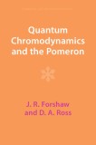 Quantum Chromodynamics and the Pomeron