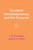 Quantum Chromodynamics and the Pomeron