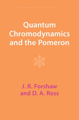 Quantum Chromodynamics and the Pomeron foto