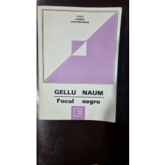 Gellu Naum - Focul negru