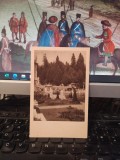 Sinaia, Castel Peleș fațadă, circa 1924, 205, Necirculata, Printata