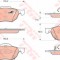 Set placute frana,frana disc HONDA ACCORD VII (CL) (2003 - 2008) TRW GDB3355