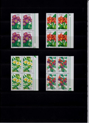 RO 2000 LP 1510 &amp;quot;Plante de apartament&amp;quot; , bloc de 4 margine , MNH foto