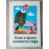 Kurt Kauter - Cum a ajuns condorul rege (povestiri indiene) (ilustrații de Inge Gurtzig; 1983)