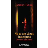 Nu te-am vazut indeajuns. Poveste de iubire - Stelian Turlea