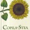 Jerry Spinelli - Copila-Stea
