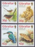 Gibraltar, Europa - parcuri, fauna, magot, pasari, 1999, MNH