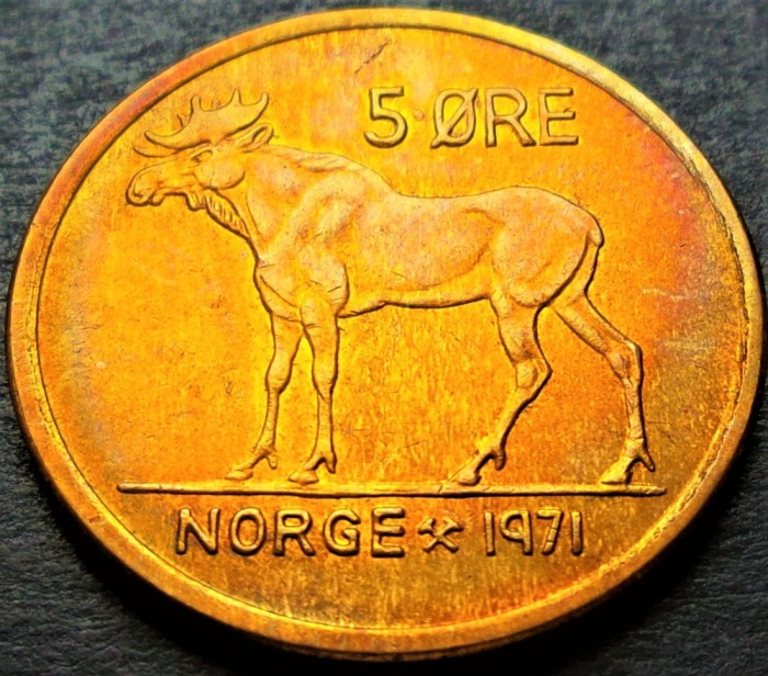 Moneda 5 ORE - NORVEGIA, anul 1971 *cod 2333 D = A.UNC / PATINA CURCUBEU