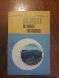 Excursii in muntii Fagarasului - E. Puscaru / R8P4F