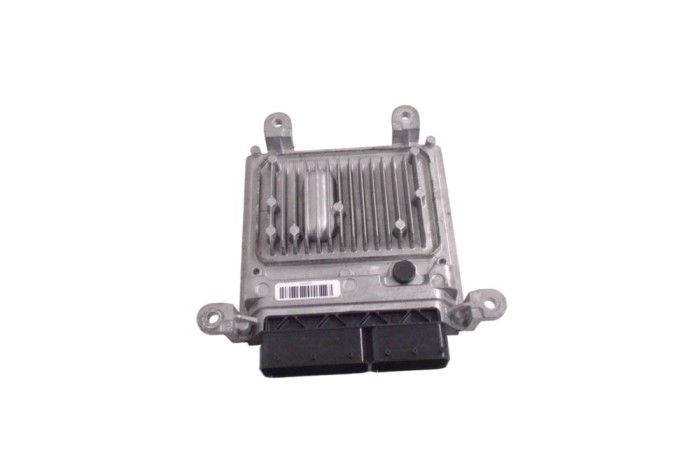 Unitate de control motor MERCEDES-BENZ CLS C218 2017 OEM: A6519011902,A6519000503 17495610