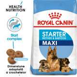 Royal Canin Maxi Starter Mother &amp; Babydog, mama si puiul, hrana uscata caine