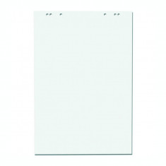 Hartie pentru flipchart Gold 50 coli veline