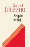 Despre limită - Paperback brosat - Gabriel Liiceanu - Humanitas