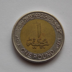 1 Pound (Magnetic) 2008 EGIPT