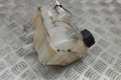 Vas de expansiune RENAULT KANGOO Express FW0/1_ 2019 OEM: 8200455786 21901269 foto