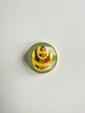 Insignă PIONIER &ndash; Pentru Apărarea Patriei &ndash; RSR &ndash; 2.5 cm &ndash; Colecție