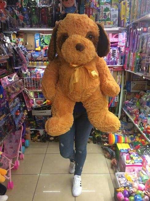 Catel de plus ciufulit 90 cm