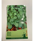 Seminte Rucola 5 g., Oem
