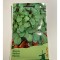 Seminte Rucola 5 g.