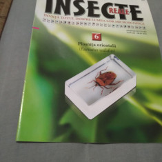 REVISTA INSECTE REALE NR.6 PLOSNITA ORIENTALA DOAR REVISTA