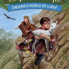 Portalul magic nr.26: Salvarea puiului de lama - Mary Pope Osborne