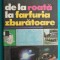 Paul Teodoru &ndash; De la roata la farfuria zburatoare