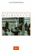 Indumnezeirea maidanului - Pr Constantin Necula