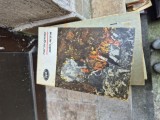 Adio, arme 2 vintage