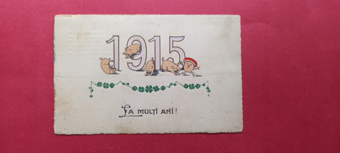 Bucuresti Felicitare La multi ani 1915 Trifoi Porci In relief Embosata