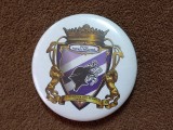 Insigna fotbal - POLI TIMISOARA