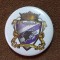 Insigna fotbal - POLI TIMISOARA