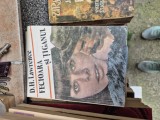 Fecioara si țiganul vintage