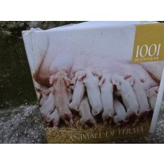 Animale de ferma - 1001 de fotografii