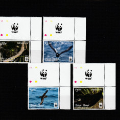 Niuafo'ou 2016-Fauna,Pasari,Petrelul negru,serie 4 val.cu vignete,MNH,Mi.607-610