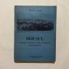 Titus L. Rosu - Beiusul - Centru politic si de cultura romaneasca