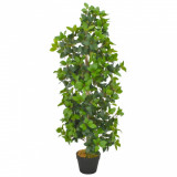 Plantă Artificială Dafin Cu Ghiveci Verde 120 cm 280180, General