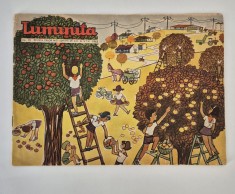 Carte pentru copii Revista Luminita Numarul 10 / 1963