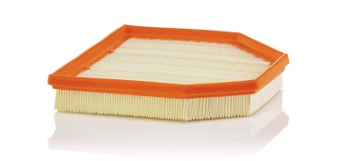 MANN-FILTER C 24 242 Filtru aer foto