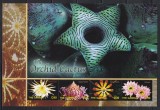 Gambia 2004 - Suculente - Cactusul orhidee, Bloc, MNH, Nestampilat